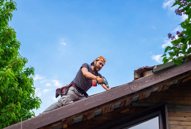 Best Storm Damage Roof Repair  in Union City, NJ